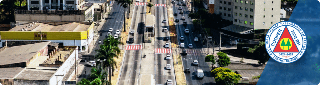 importância do táxi