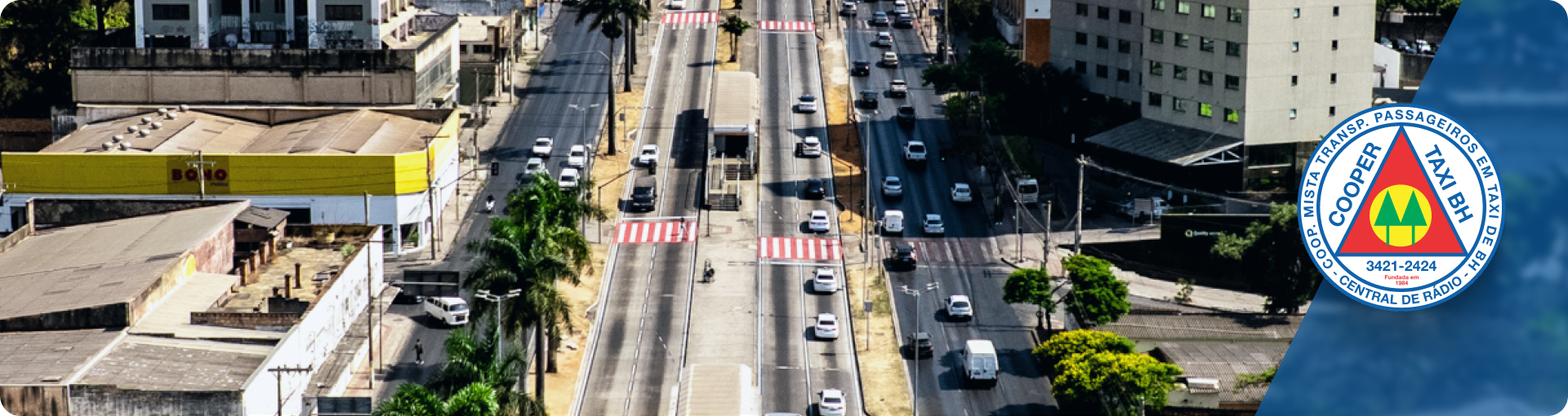 importância do táxi