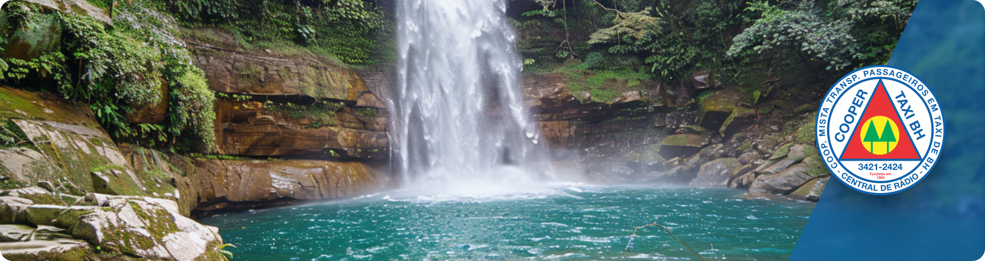 Viagem de bate-volta