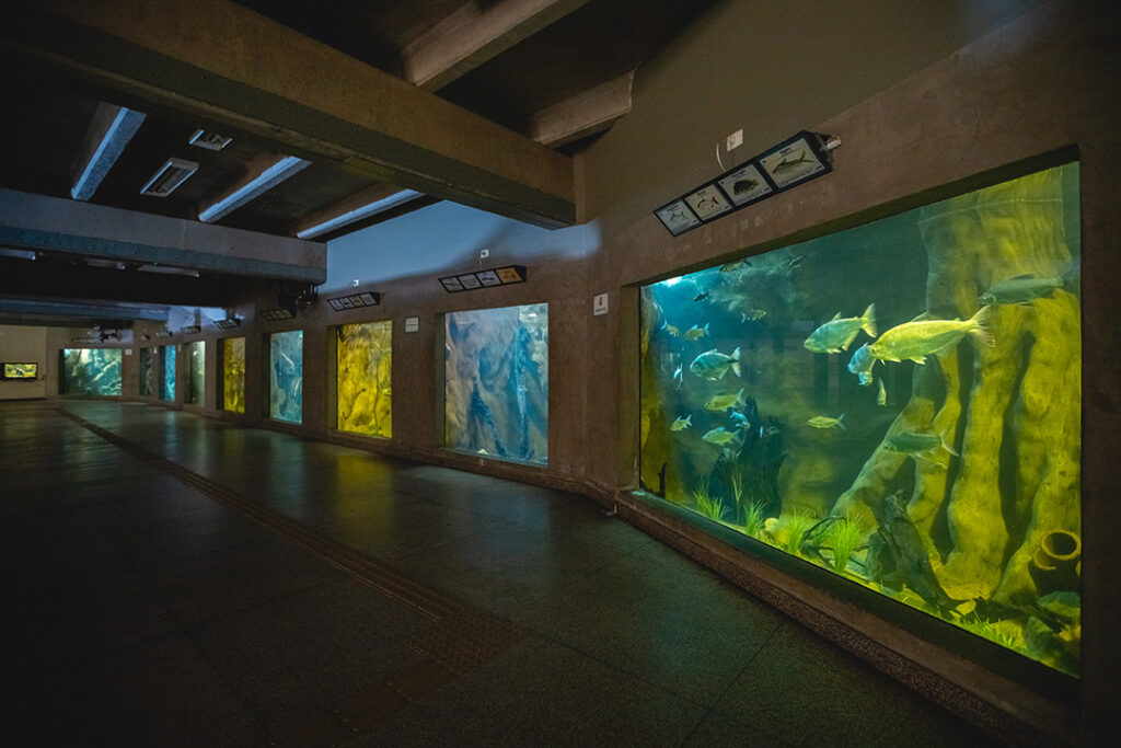 passeios com crianças BH
